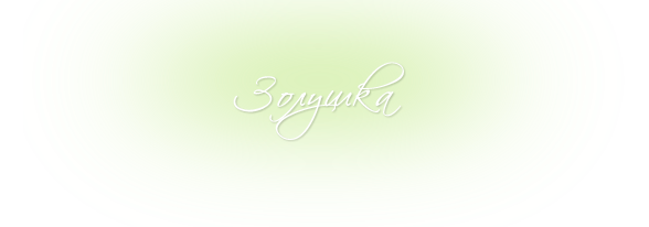 Программа 'Золушка'